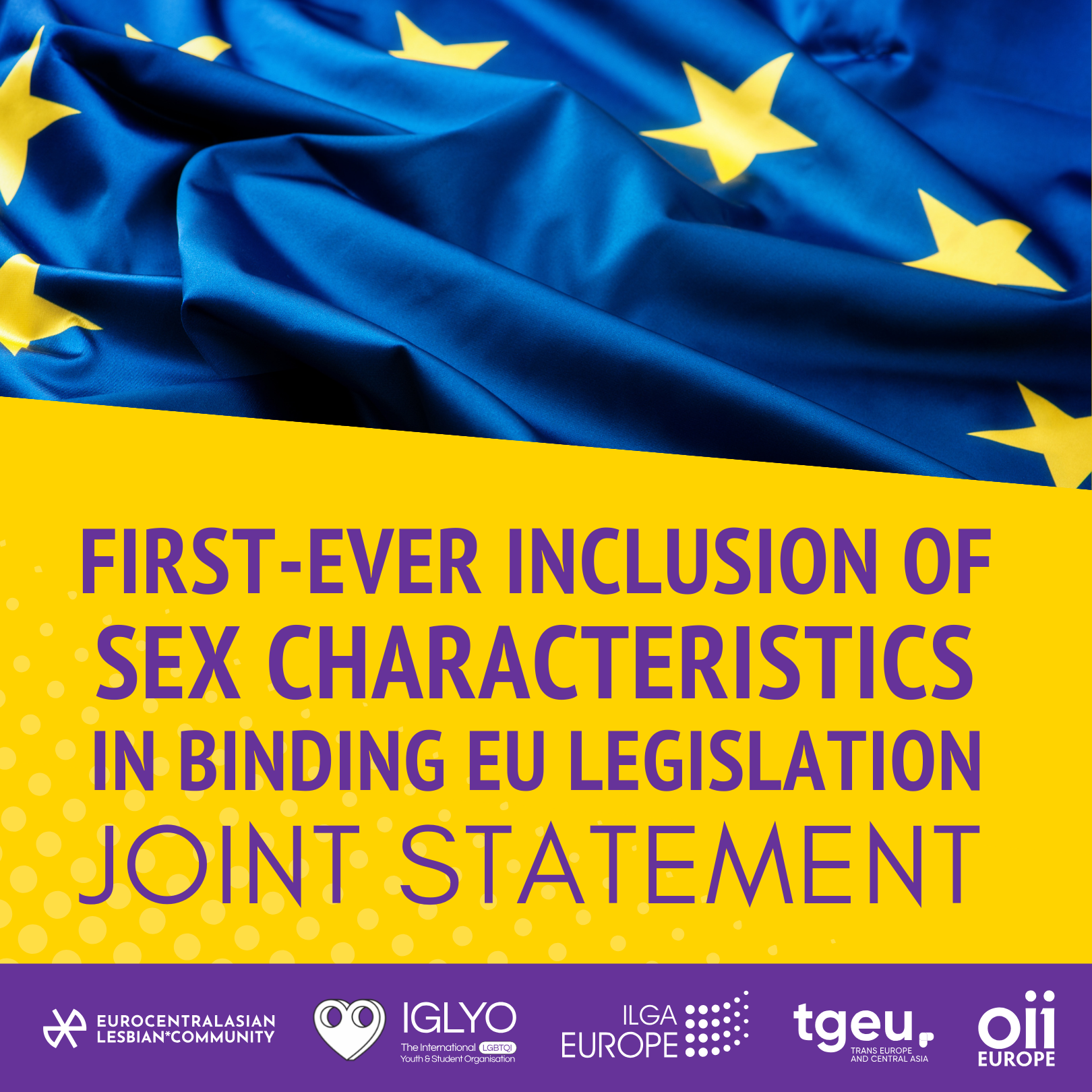 Joint Statement: Milestone for trans and intersex rights in Europe